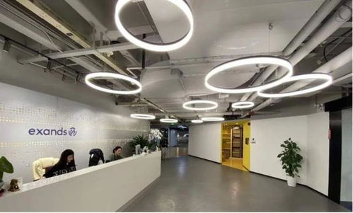 長(zhǎng)寧三家企業(yè)榮登上海軟件外包服務(wù)立項(xiàng)名單，助力區(qū)域數(shù)字經(jīng)濟(jì)發(fā)展