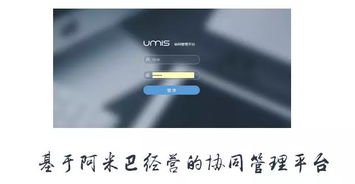上海互聯(lián)網(wǎng)軟件集團 高端協(xié)同管理軟件與咨詢服務(wù)領(lǐng)軍者