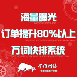 上海專業(yè)關(guān)鍵字優(yōu)化軟件公司 軟件外包服務(wù)的全面解析